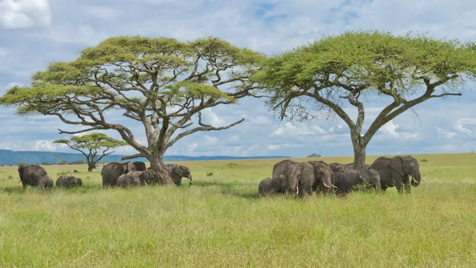 Tanzania Safari Itinerary