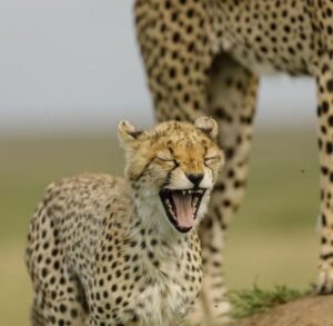 Visiting Tanzania