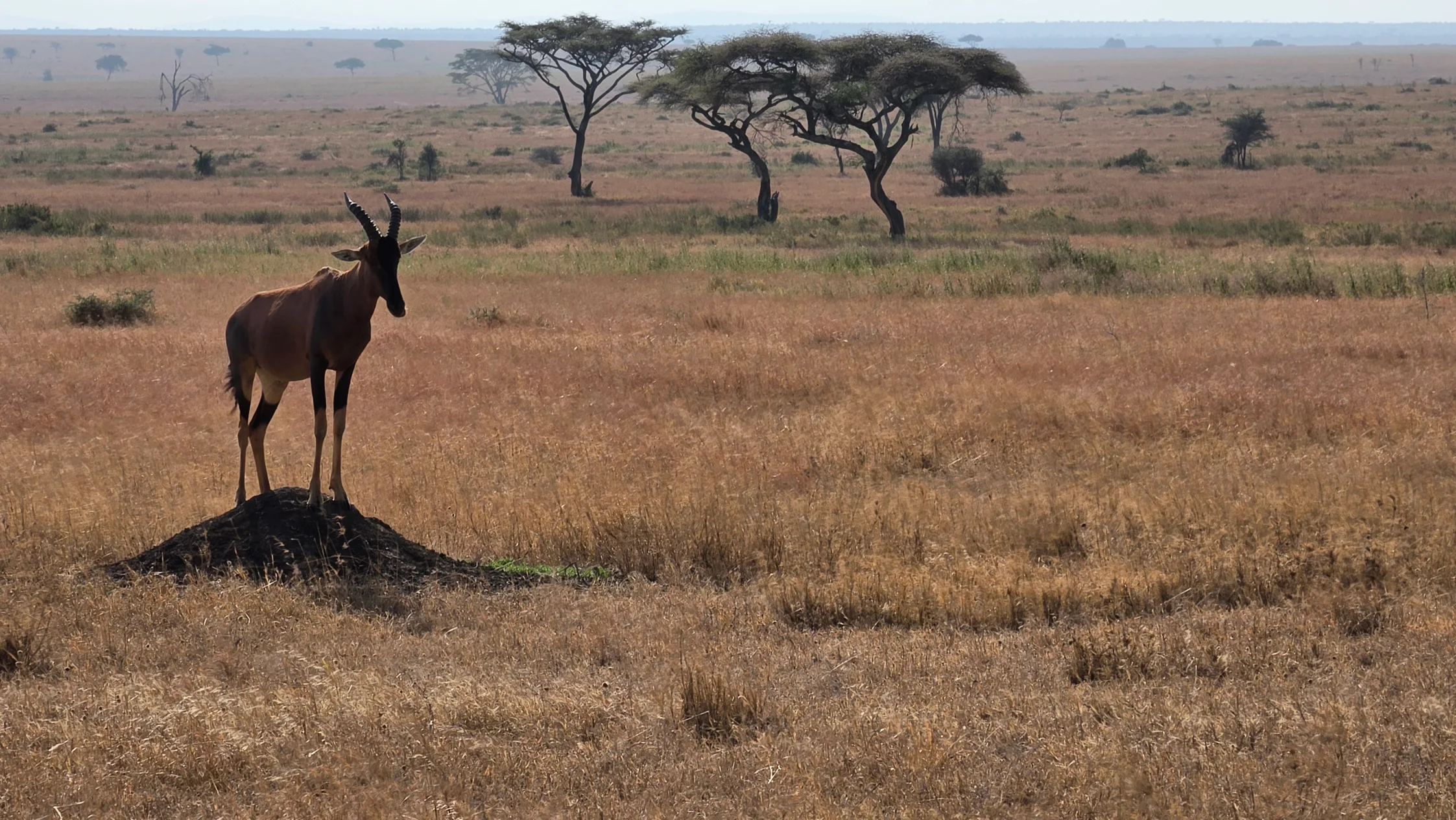 Visiting Tanzania
