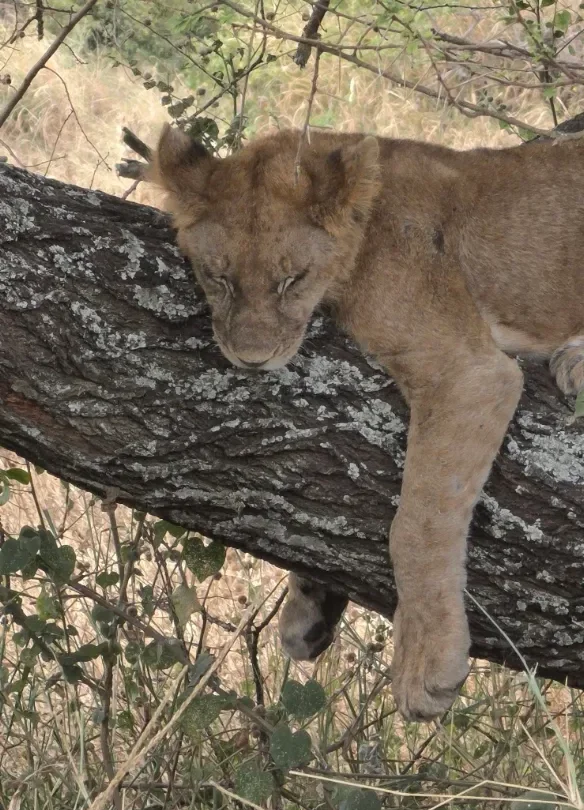 Visiting Tanzania