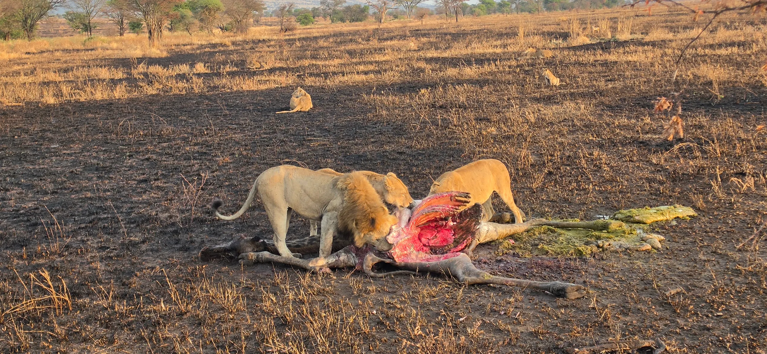 Visiting Tanzania