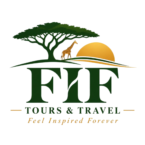 FIF Tours and Travel