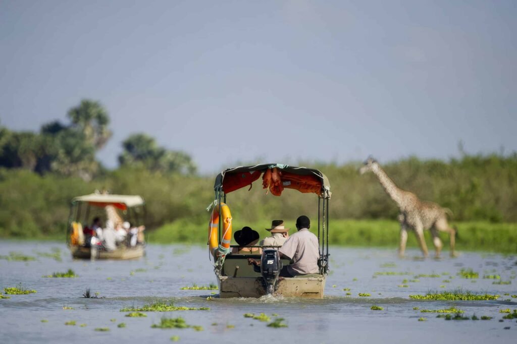 Tanzania safari planning