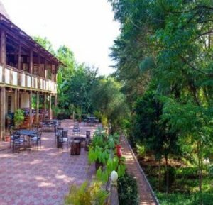 Eileen's Trees Inn