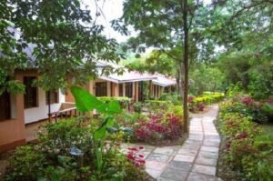 Eileen's Trees Inn
