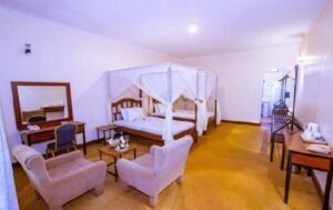 Eileen's Trees Inn