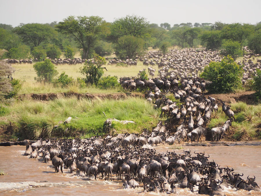 Tanzania safari itinerary