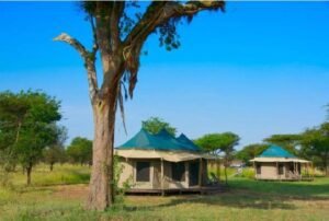 Narudi Tented Camp