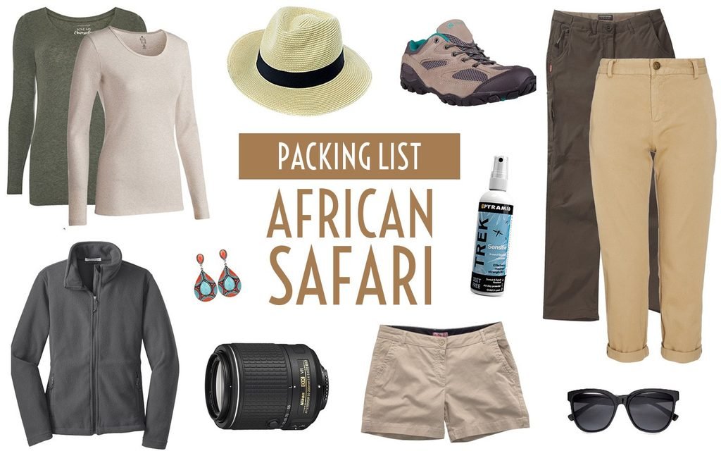 Tanzania safari planning