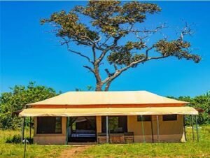 Sero Tented Camp