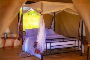 Sero Tented Camp